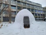 15022025_Samsung Galaxy Note20 Ultra_29th round to Hokkaido_Susukino Morning00150