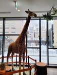 15022025_Samsung Galaxy Note20 Ultra_29th round to Hokkaido_Susukino Morning_La' Gent Hotel00217
