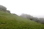 04072010_Tai Mo Shan00002
