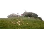 04072010_Tai Mo Shan00003