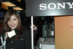 26012008_Sony T2@Gome_Phoebe Chan00002