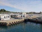10052023_Samsung Smartphone Galaxy S10 Plus_Kyushu Tour_Sakurajima Ferry00008