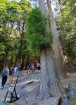 11052023_Samsung Smartphone Galaxy S10 Plus_Kyushu Tour_Kirishima Jinku00003