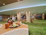 11052023_Samsung Smartphone Galaxy S10 Plus_Kyushu Tour_Kirishima Royal Hotel_Inside00020