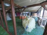 11052023_Samsung Smartphone Galaxy S10 Plus_Kyushu Tour_Kirishima Royal Hotel_Inside00023