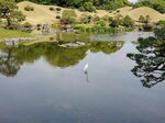 11052023_Samsung Smartphone Galaxy S10 Plus_Kyushu Tour_Suizenji Jojuen00013