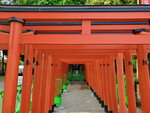 11052023_Samsung Smartphone Galaxy S10 Plus_Kyushu Tour_Suizenji Jojuen00018