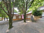 11052023_Samsung Smartphone Galaxy S10 Plus_Kyushu Tour_Suizenji Jojuen00023