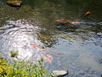 11052023_Samsung Smartphone Galaxy S10 Plus_Kyushu Tour_Suizenji Jojuen00029