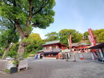 12052023_Samsung Smartphone Galaxy S10 Plus_Kyushu Tour_Kumamoto Jou Inari Jinsha00002