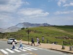 12052023_Samsung Smartphone Galaxy S10 Plus_Kyushu Tour_Kusasenri ga Hama00025