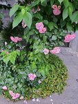 12052023_Samsung Smartphone Galaxy S10 Plus_Kyushu Tour_Quintessa Hotel00005