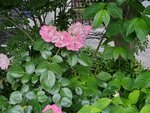 12052023_Samsung Smartphone Galaxy S10 Plus_Kyushu Tour_Quintessa Hotel00007