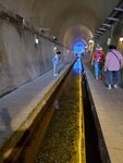 12052023_Samsung Smartphone Galaxy S10 Plus_Kyushu Tour_Takamori Usui Tunnel Koen00013