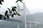 08052010_Ma Wan_Tsing Ma Bridge00002