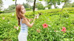 13102019_Samsung Smartphone Galaxy S10 Plus_Lingnan Garden_Rita Chan00040