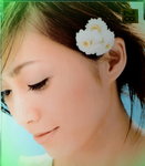 06112014_CD Collections_Sakai Noriko(VICL35679)00028