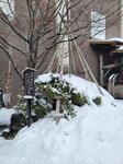 02022026_32 round to Hokkaido_Asahikawa_Otokoyama Shuzo00015