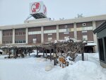 02022026_32 round to Hokkaido_Asahikawa_Otokoyama Shuzo00030