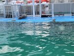 03022026_32 round to Hokkaido_Monbetsu Harbour Seal Park00007