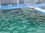03022026_32 round to Hokkaido_Monbetsu Harbour Seal Park00012