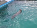 03022026_32 round to Hokkaido_Monbetsu Harbour Seal Park00019