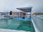 03022026_32 round to Hokkaido_Monbetsu Harbour Seal Park00022
