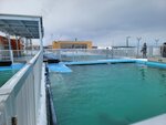 03022026_32 round to Hokkaido_Monbetsu Harbour Seal Park00023