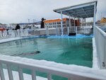 03022026_32 round to Hokkaido_Monbetsu Harbour Seal Park00024