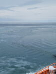03022026_32 round to Hokkaido_Monbetsu Icebreaker Cruise_Garinko III Imeru00036