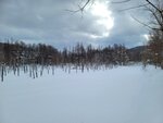 04022026_32 round to Hokkaido_Bieicho_Snowy Aoiike00012