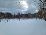04022026_32 round to Hokkaido_Bieicho_Snowy Aoiike00013