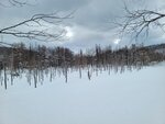 04022026_32 round to Hokkaido_Bieicho_Snowy Aoiike00018