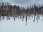 04022026_32 round to Hokkaido_Bieicho_Snowy Aoiike00026
