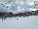 04022026_32 round to Hokkaido_Bieicho_Snowy Aoiike00056