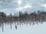 04022026_32 round to Hokkaido_Bieicho_Snowy Aoiike00057