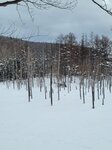 04022026_32 round to Hokkaido_Bieicho_Snowy Aoiike00060