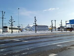 05022026_32 round to Hokkaido_Otaru_Sakaimachi00091