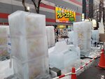 05022026_32 round to Hokkaido_Susukino Ice Sculptures00020