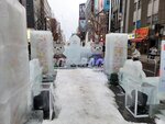 05022026_32 round to Hokkaido_Susukino Ice Sculptures00021