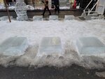 05022026_32 round to Hokkaido_Susukino Ice Sculptures00038