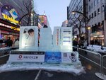 05022026_32 round to Hokkaido_Susukino Ice Sculptures00060