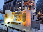 05022026_32 round to Hokkaido_Susukino Ice Sculptures00061