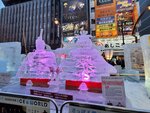 05022026_32 round to Hokkaido_Susukino Ice Sculptures00063