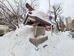 06022026_32 round to Hokkaido_Nakajima Koen_Sapporo Yahiko Jinja00168