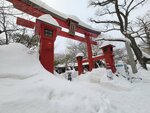 06022026_32 round to Hokkaido_Nakajima Koen_Sapporo Yahiko Jinja00169