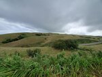 27082023_Samsung Smartphone Galaxy S10 Plus_25th round to Hokkaido_Rebun Island_Takayama Botanical Garden00020