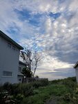 27082023_Samsung Smartphone Galaxy S10 Plus_25th round to Hokkaido_Rishiri Island Morning00080