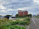 27082023_Samsung Smartphone Galaxy S10 Plus_25th round to Hokkaido_Rishiri Island Morning00124