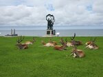 28082023_Samsung Smartphone Galaxy S10 Plus_25th round to Hokkaido_Souya Misaki_World Peace Bell Park00056